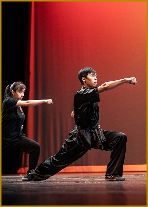 Gallery image 6